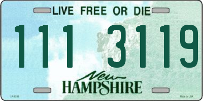 NH license plate 1113119