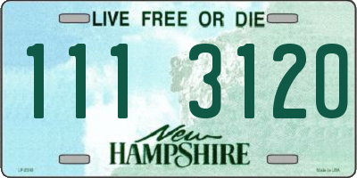 NH license plate 1113120