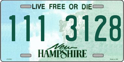 NH license plate 1113128