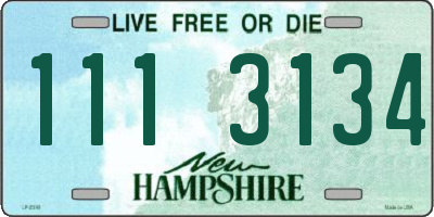NH license plate 1113134
