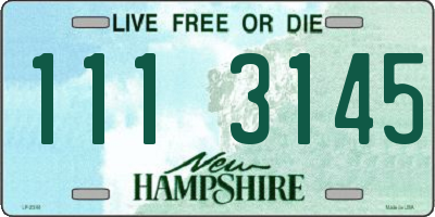 NH license plate 1113145