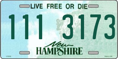 NH license plate 1113173