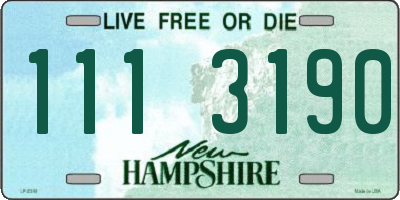 NH license plate 1113190