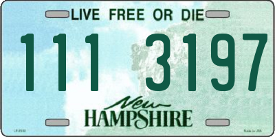 NH license plate 1113197