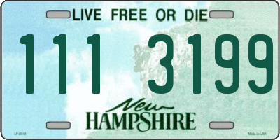 NH license plate 1113199