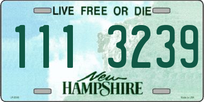 NH license plate 1113239