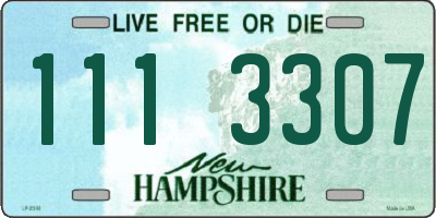 NH license plate 1113307