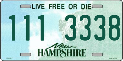 NH license plate 1113338
