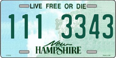 NH license plate 1113343
