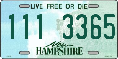 NH license plate 1113365