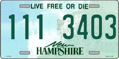NH license plate 1113403