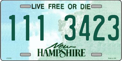 NH license plate 1113423