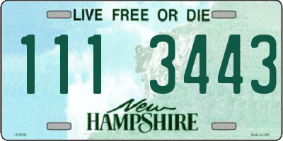 NH license plate 1113443