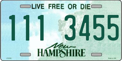 NH license plate 1113455