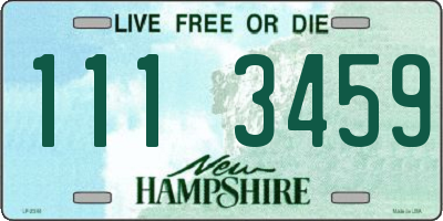 NH license plate 1113459