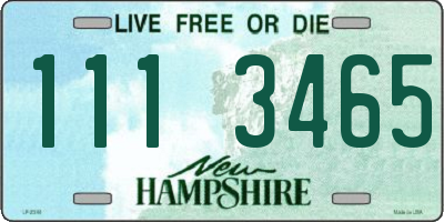 NH license plate 1113465