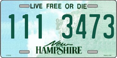 NH license plate 1113473