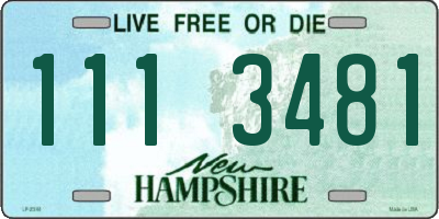 NH license plate 1113481