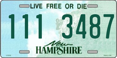 NH license plate 1113487