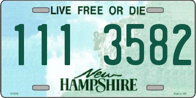 NH license plate 1113582