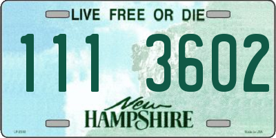 NH license plate 1113602