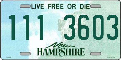 NH license plate 1113603