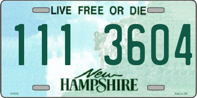 NH license plate 1113604