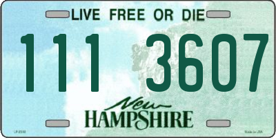 NH license plate 1113607