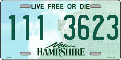 NH license plate 1113623