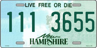 NH license plate 1113655