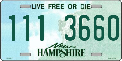 NH license plate 1113660