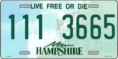 NH license plate 1113665