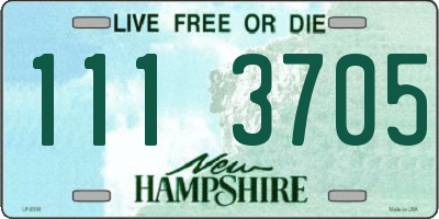 NH license plate 1113705