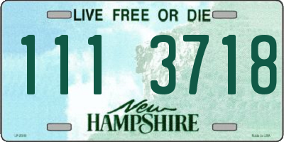 NH license plate 1113718