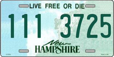 NH license plate 1113725