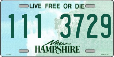 NH license plate 1113729