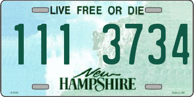 NH license plate 1113734