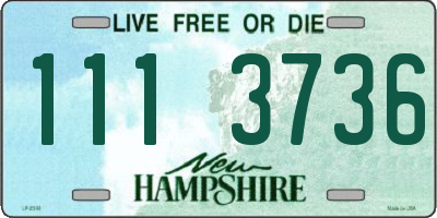 NH license plate 1113736