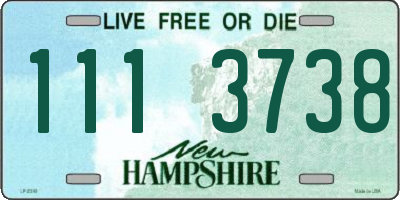 NH license plate 1113738