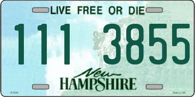 NH license plate 1113855