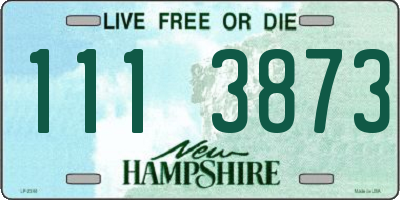 NH license plate 1113873