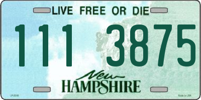 NH license plate 1113875