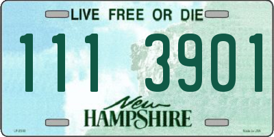 NH license plate 1113901