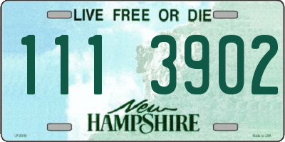NH license plate 1113902