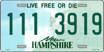 NH license plate 1113919