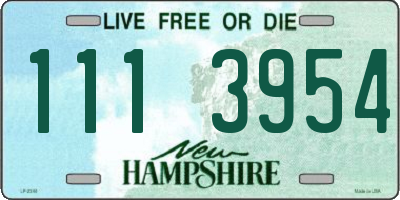 NH license plate 1113954