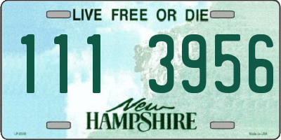 NH license plate 1113956