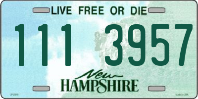 NH license plate 1113957