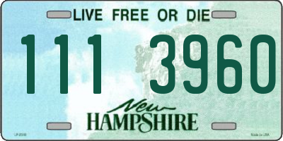 NH license plate 1113960