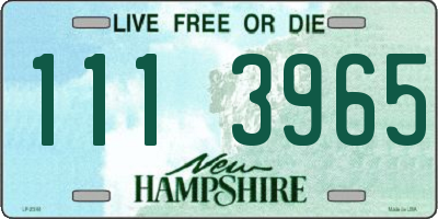 NH license plate 1113965